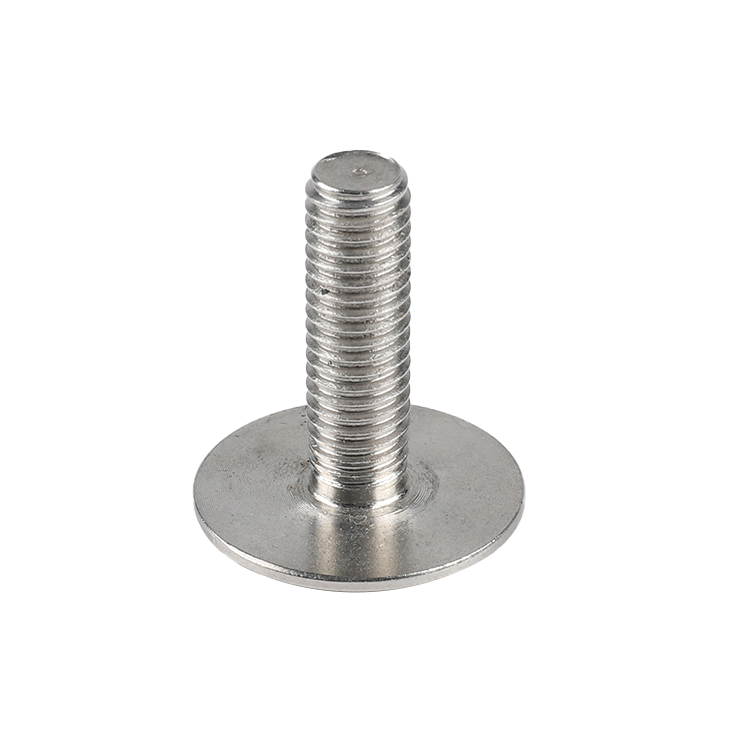 Fastener Factory Stainless Steel Screw Special Big Flat Round Head Bolt