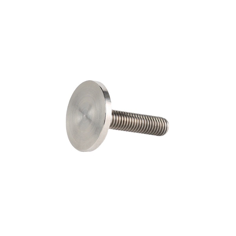 Fastener Factory Stainless Steel Screw Special Big Flat Round Head Bolt