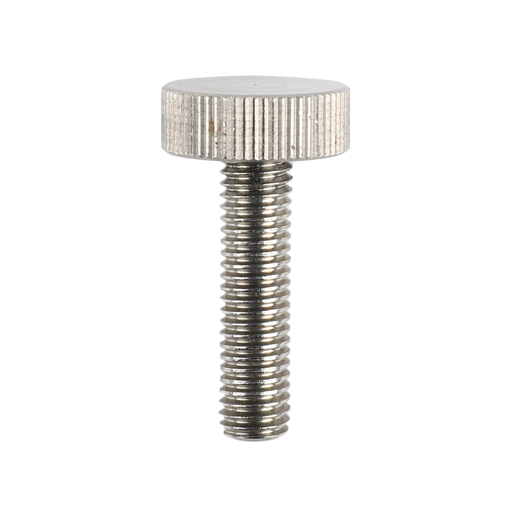 Fastener Factory Stainless Steel Screw Special Big Flat Round Head Bolt