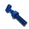 OEM China Fastener Stainless Steel Bolt T-Bolt T Head Bolt T Bolt