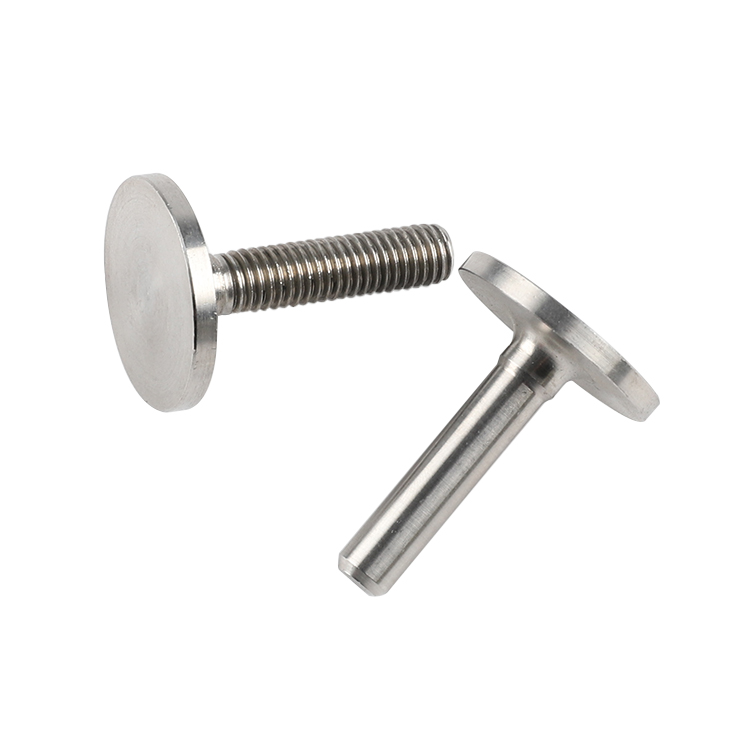 Fastener Factory Stainless Steel Screw Special Big Flat Round Head Bolt