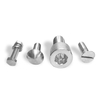 Fastener Factory High Quality Stainless Steel Customized Bolt Special Screw