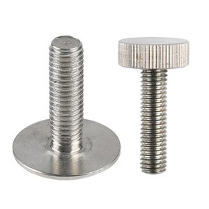 Fastener Factory Stainless Steel Screw Special Big Flat Round Head Bolt