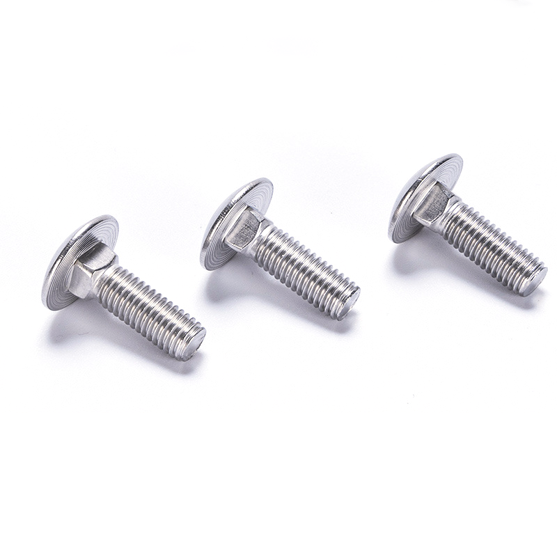 High Quality Stainless Steel Round Head Square Neck Carriage Bolt